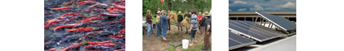 Sustainability images of related projects