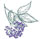 Elderberry Graphic - Link to 'What Is Old?