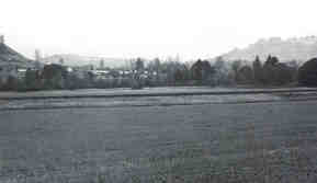 Fields in 1965