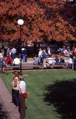Grassy area between the Center Building and Business Building, looking towards the Health & PE Building,Sam Blackwell, photographer, October 1983