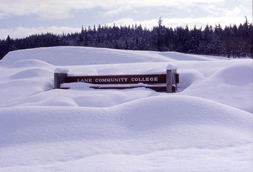 Photo - LCC sign at entrance of college covered in snow