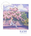 Catalog cover 1993