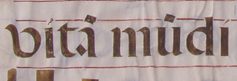 Image of text 'vita mudi'