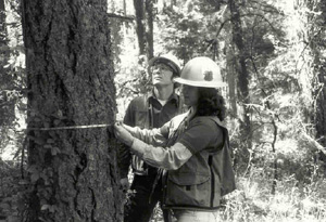 Photo - Forestry students in forest