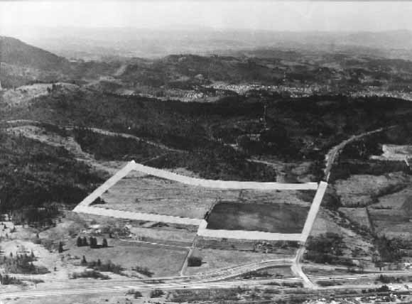 Photo - Aerial View, Lane's 30th Avenue Site