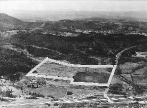 Photo - Lane's 30th Avenue Site, 1965