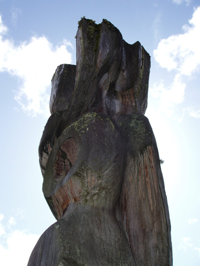 Sentinel