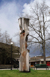 Photo of Sentinel