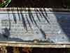 Photo of Plaque