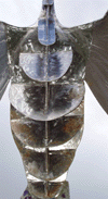 Closeup of Sculpture F