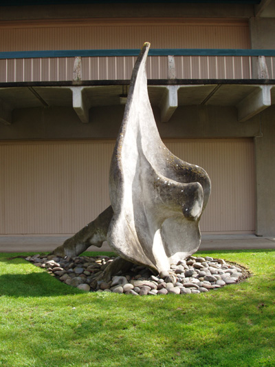 Biomorph II