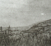 Moon Hills