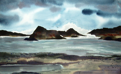 Ocean, Rocks, Birds