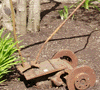 Wagon
