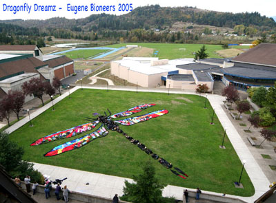 Photo of dragonfly field art
