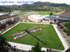 Photo of dragonfly field art