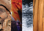 Juried Student Art Exhibition