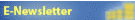 E-Newsletter form