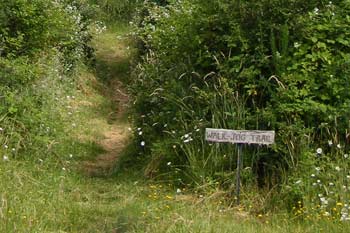 Hiking Trail
