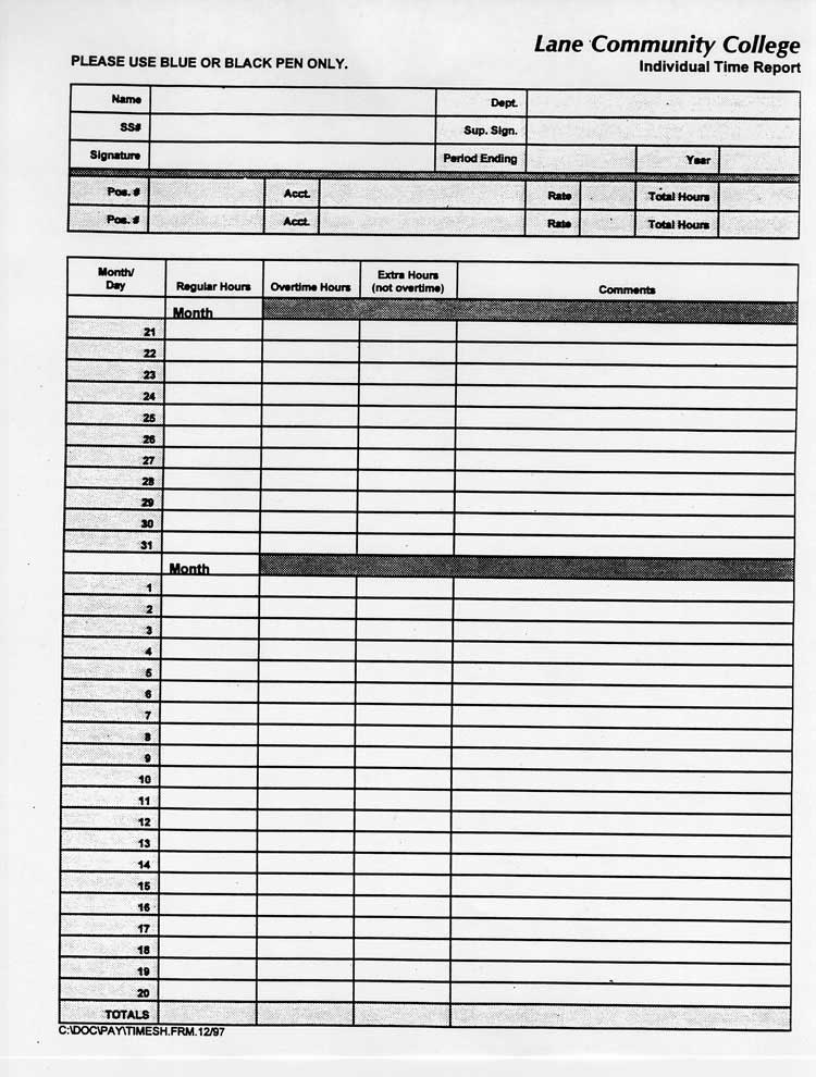 Individual Time Report