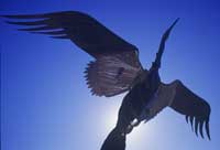 photo: bird sculpture against blue sky
