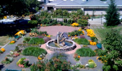 Photo of an Overview of Lane Campus