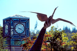 photo of bird scuplture on main campus and clock tower