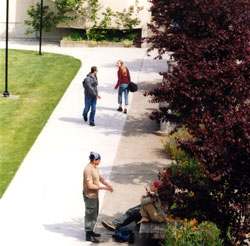 Photo of students walking down a path