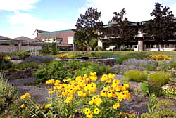 Photo of a LCC fountain