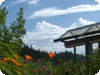image of campus near bus stop
