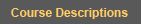 Course Descriptions
