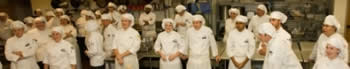chefs