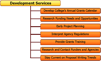 Development Services Organization Chart
