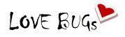 Love Bugs title and article