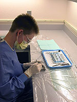 Student Working