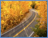 Fall Roadway graphic