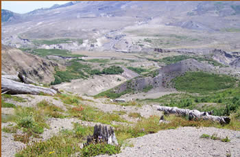 Mt St Helens