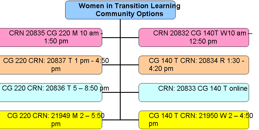 Organization Chart