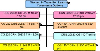 Organization Chart
