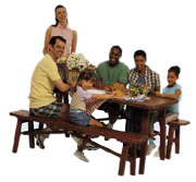 families sharing picnic 
