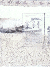 collage