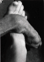 Paw and foot
