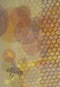 picture of print