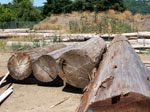 image of cedar logs