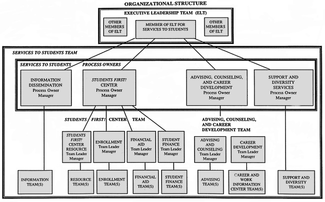 ORGANIZATIONAL STRUCTURE graphic