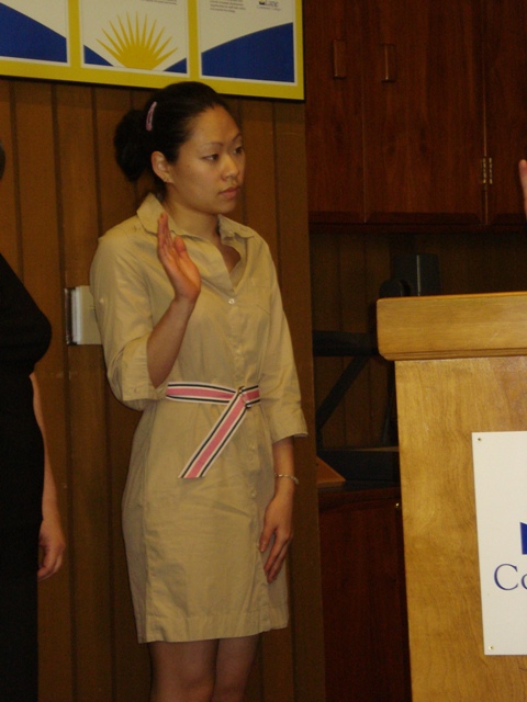 Formal Induction