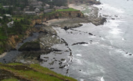 Coast Field Trip photograph