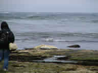 Coast Field Trip photograph