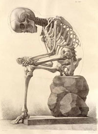 Skeleton Checking his foot