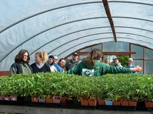 Service Learning Students